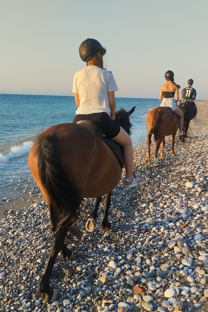 horse riding rhodes sunset beach