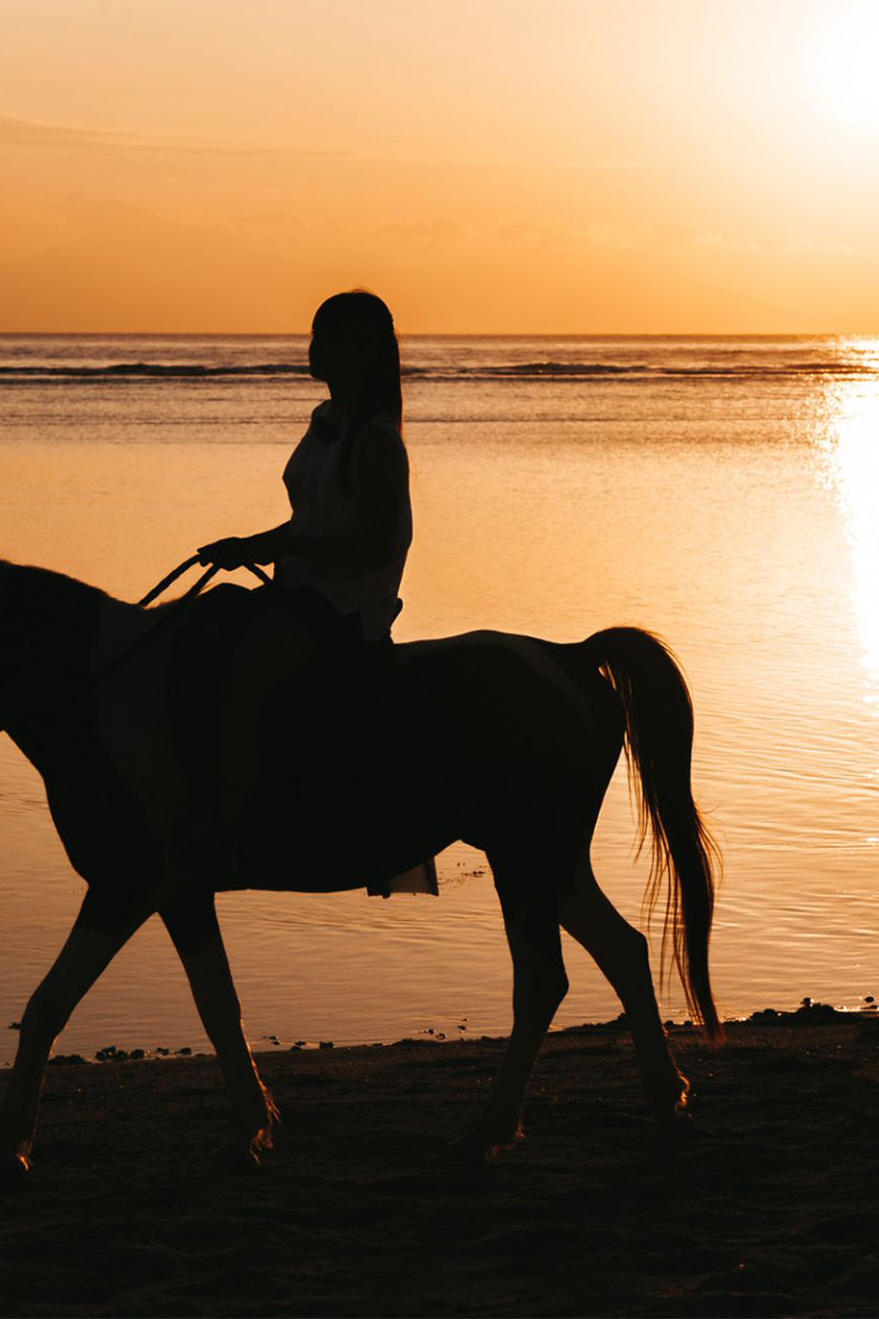 horse riding rhodes sunset beach